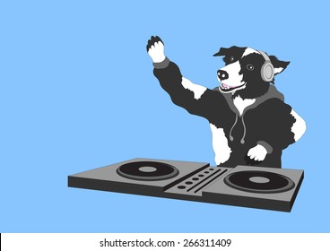 funny dog dj hipster for fun party