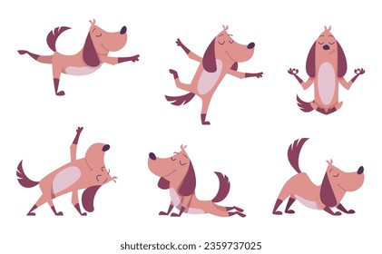 Funny dog. Domestic happy animal making yoga or fitness exercises exact vector cartoon character