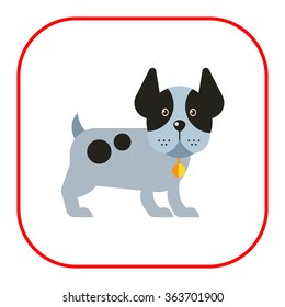 Funny dog with ears up