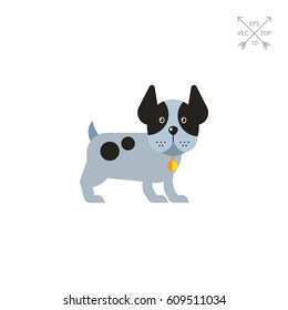 Funny dog with ears up