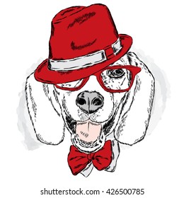 Funny dog with hat and glasses. Vector illustration for greeting cards , posters or prints on clothes . Funny dog.