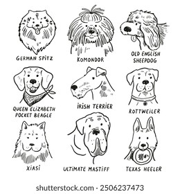 Funny dog heads breed collection illustrations set.