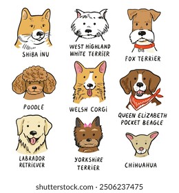 Funny dog heads breed collection illustrations set.