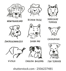 Funny dog heads breed collection illustrations set.