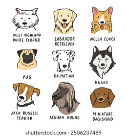 Funny dog heads breed collection illustrations set.