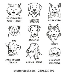 Funny dog heads breed collection illustrations set.