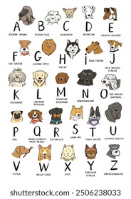 Funny dog heads breed collection illustrations alphabet.