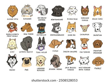 Funny dog heads breed collection illustrations set.