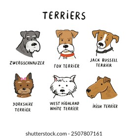 Funny dog heads breed terriers collection illustrations set.