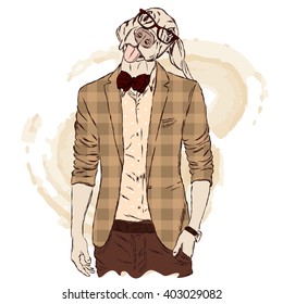 Funny dog - a hipster in a jacket and sunglasses. Vector illustration. Print on clothes, postcard or poster.