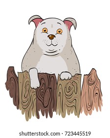 Funny dog looking, cartoon image. Artistic freehand drawing.