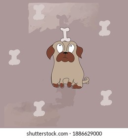 Funny Dog Looks at Bone