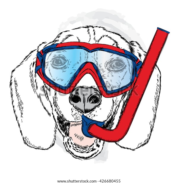 Funny Dog Mask Snorkel Diving Vector Stock Vector (Royalty Free) 426680455
