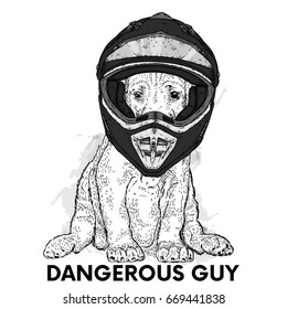Funny dog in a motorcycle helmet. Vector illustration for a postcard, poster or print for clothes. Purebred puppy. Motorcycling. Sport.