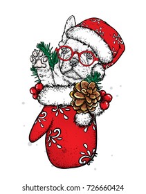 A funny dog in the New Year's glove and spruce branches. Vector illustration. Cute New Year puppy at the hat.