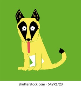 Funny dog on green background.