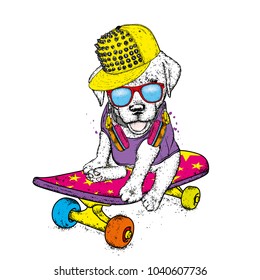 Funny dog on a skateboard. Vector illustration. Pedigree dog. Puppy wearing a cap and headphones.