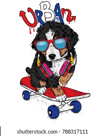 Funny dog on a skateboard. Vector illustration. Pedigree dog. Puppy wearing a headphones.