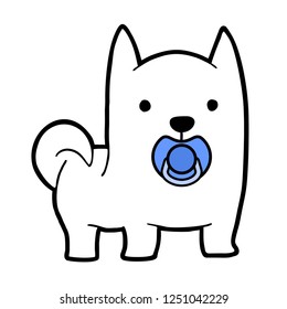 Funny dog with pacifier