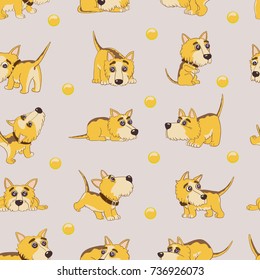 funny dog, pattern, vector, decorative