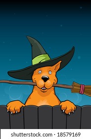 Funny dog playful calling for fly on the broom at the halloween night