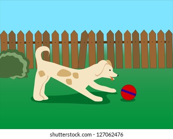 Funny dog playing with a ball