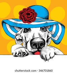 Funny dog portrait in a blue summer hat with knitted flower on yellow background. Vector illustration.