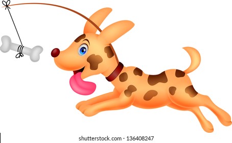 Funny dog running
