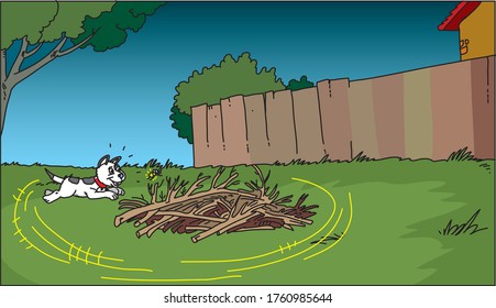Perro gracioso corriendo en círculo
