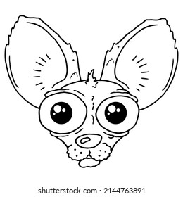 Funny dog sketch drawing. Vector illustration of a small breed dog.