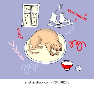  Funny Dog Sketch. Hand drawn animals vector illustration