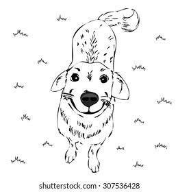 funny dog, smiling,vector sketch