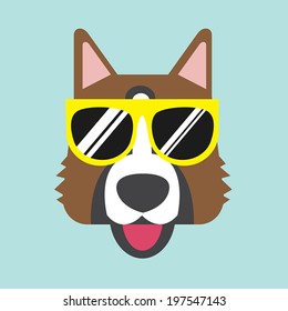 Funny dog in sun glasses.