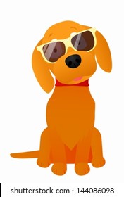 Funny dog in sunglasses