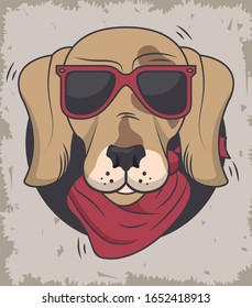 funny dog with sunglasses cool style vector illustration design