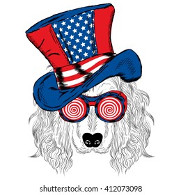 Funny dog in an unusual hat and sunglasses. Vector illustration.