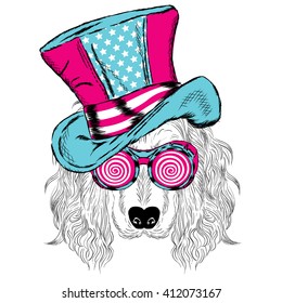 Funny dog in an unusual hat and sunglasses. Vector illustration.