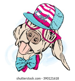 Funny Dog Wearing A Cap And Sunglasses. Vector . 