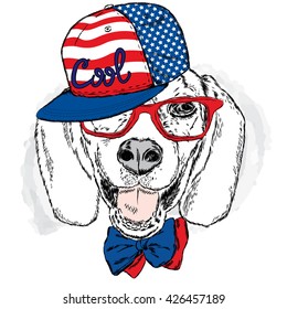 Funny dog wearing a cap and sunglasses . Vector illustration for a card or poster . Prints on the clothes or accessories . Cool dog .
