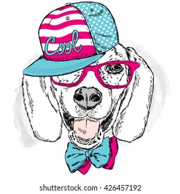 Funny dog wearing a cap and sunglasses . Vector illustration for a card or poster . Prints on the clothes or accessories . Cool dog .
