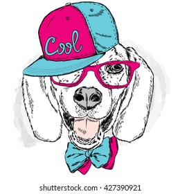 Funny dog wearing a cap and sunglasses . Vector illustration for a card or poster . Prints on the clothes or accessories . Cool dog .
