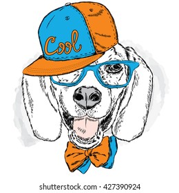 Funny dog wearing a cap and sunglasses . Vector illustration for a card or poster . Prints on the clothes or accessories . Cool dog .
