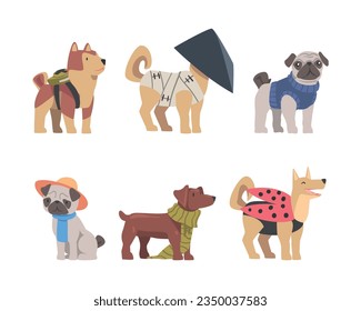 Funny Dog Wearing Costume and Clothing Vector Set