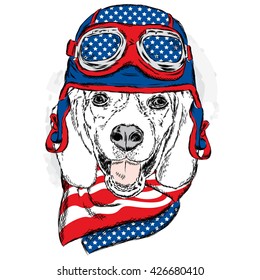 Funny dog wearing a helmet and scarf. Biker or pilot. Vector illustration for greeting card, poster, or print on clothes. Funny dog.