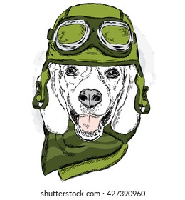 Funny dog wearing a helmet and scarf. Biker or pilot. Vector illustration for greeting card, poster, or print on clothes. Funny dog.