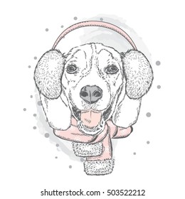 Funny Dog in winter scarf and headphones. Vector illustration. Christmas and New Year.