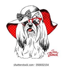 Funny dog York in a red Summer sun hat with bow and in glasses. Vector illustration.