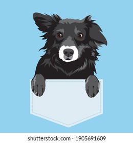 perrito gracioso en el bolsillo