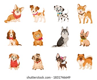 Funny dogs. Сute cartoon puppies different dog breeds set, corgi and husky, dalmatian and toy terrier, cute beagle, bulldog and jack russell. Kawaii domestic pet flat comic vector isolated collection