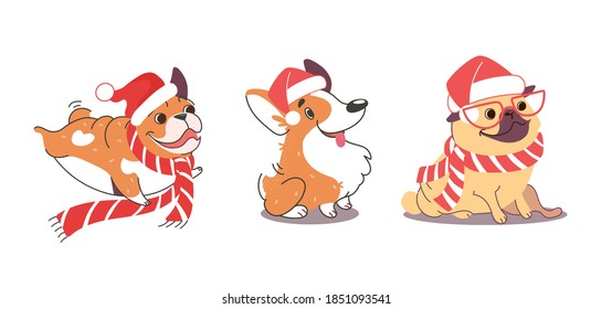 Funny dogs at Christmas. Illustration of pug, bulldog and corgi wearing santa claus hats. New Year's dogs in cartoon style isolated on white background. Vector